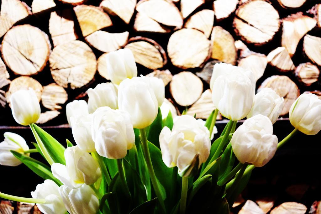 Les Neiges D'Antan 호텔 브루일서비니아 외부 사진